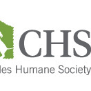 Team Page: CHS Board